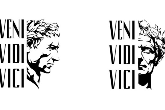 venividivici logo